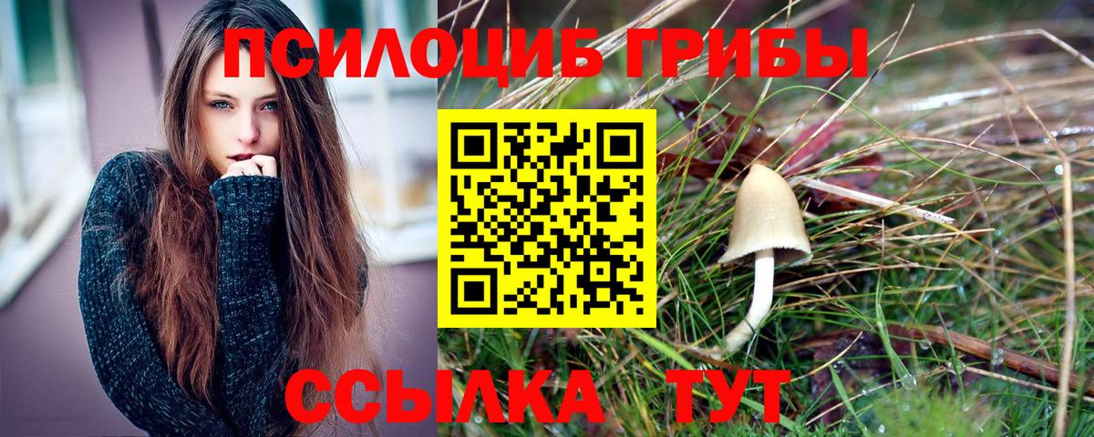 Псилоцибиновые грибы прущие грибы Сызрань