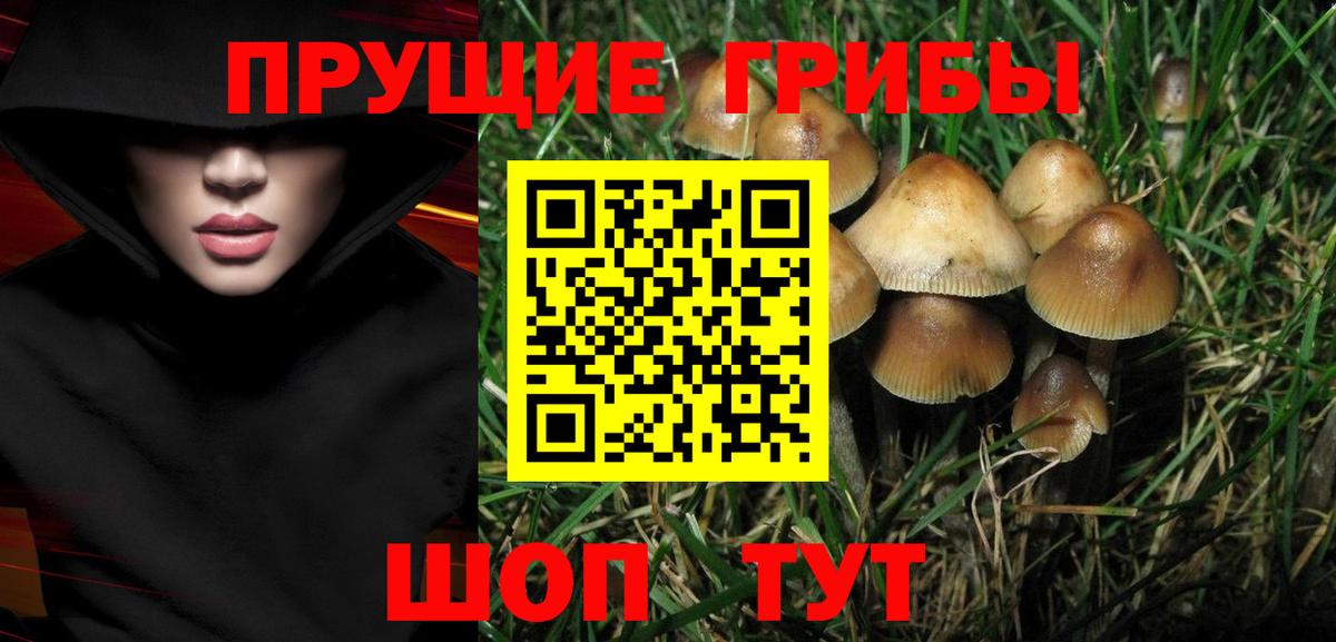Галлюциногенные грибы Cubensis  Галлюциногенные грибы Magic Shrooms  закладки  Сызрань  Вход с VPN 