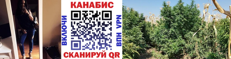 Конопля MAZAR  Сызрань 